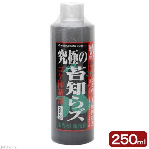 Ｂ−ｂｌａｓｔ　究極のコケ知らズ　リキッド　２５０ｍｌ