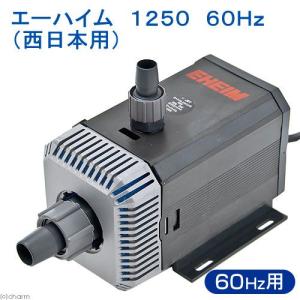 ６０Ｈｚ　エーハイム　水陸両用ポンプ　１２５０　流量２０リットル／分　西日本用　メーカー保証期間１年｜chanet