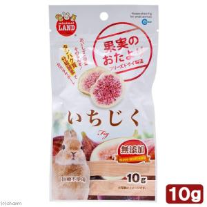 マルカン　果実のおたより　いちじく　１０ｇ　おやつ　果物　小動物