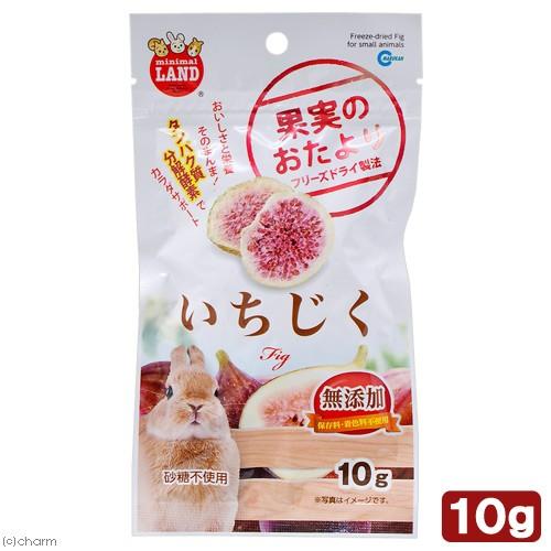 マルカン　果実のおたより　いちじく　１０ｇ　おやつ　果物　小動物