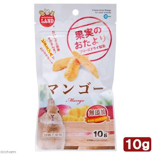 マルカン　果実のおたより　マンゴー　１０ｇ　おやつ　果物　小動物