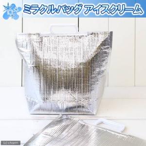 アウトレット品 ミラクルバッグ 保冷バッグ アイスクリーム S 35−11