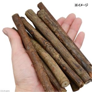 マルカン 果実って小枝 マンゴー 10本入り ...の詳細画像1