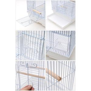 鳥籠 クオリス BIRD CAGE Q-350...の詳細画像2