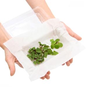 (浮草)おまかせ浮き草 3種セット(無農薬)(...の詳細画像4