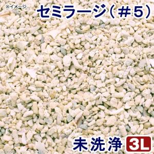 Leaf Corp サンゴ砂 ミディアム（＃3） 1L 海水水槽用底砂
