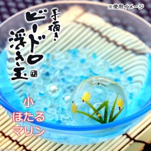 浮き玉 小 ほたる マリン