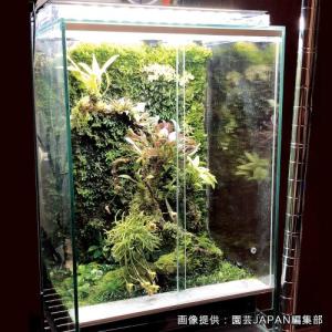 ビバリウム用 植栽シート PLANTING S...の詳細画像3