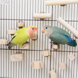 クオリス ボルダリング 円柱セット 円柱S・M...の詳細画像2