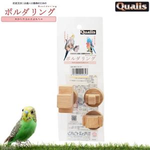 ベルバード リトルママ 鳥用 小型自動孵卵器 RCOM MINI PX