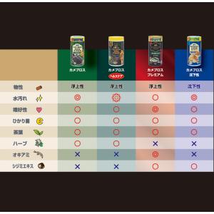 キョーリン カメプロス プレミアム 小スティッ...の詳細画像5