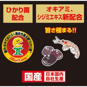 キョーリン カメプロス プレミアム 大スティッ...の詳細画像3