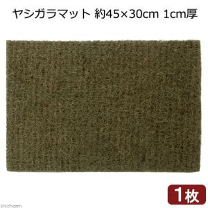 ヤシガラマット　約４５×３０ｃｍ　１ｃｍ厚　１枚