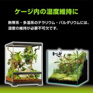 GEX エキゾテラ モンスーンソロ ミスティン...の詳細画像4