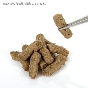 GEX エキゾテラ レオパブレンドフード 45...の詳細画像2