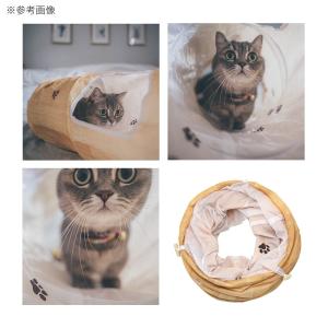 猫用 おもちゃ 猫壱 キャット トンネルスパイ...の詳細画像3