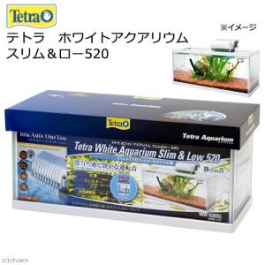 《終売》テトラ　ホワイトアクアリウム５２０　スリム＆ロー　お一人様１点限り