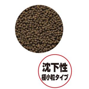 GEX 金魚元気 プロバイオパワーフード 沈下...の詳細画像1