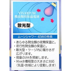 ポゴナ・クラブ ビバリウム ムーンシャワー N...の詳細画像1