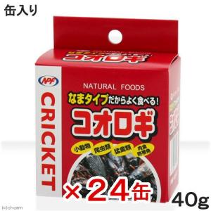 コオロギ　ＮＰＦ　コオロギ（缶入り）　４０ｇ×２４缶　両生類・爬虫類　ハリネズミ　フード　餌　エサ　缶詰｜chanet