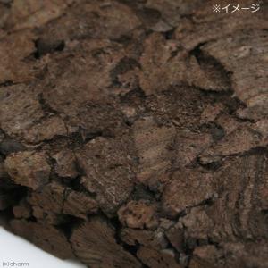 炭化コルクシート 小 30×30×3cm 園芸...の詳細画像1