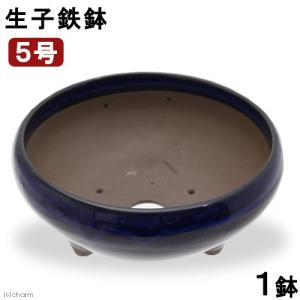 生子鉄鉢 5号 山野草鉢 山野草 植木鉢 ミニミニ盆栽鉢
