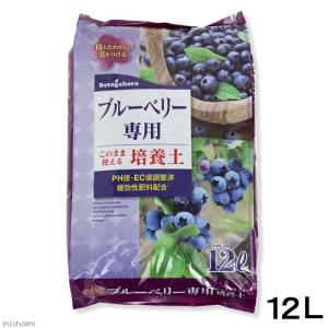 瀬戸ヶ原花苑　ブルーベリー専用培養土　１２Ｌ　ブルーベリー　専用土　家庭菜園　お一人様２点限り