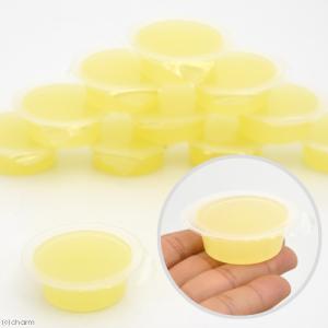 フジコン 昆虫ゼリー プレミアム 濃縮プロテイ...の詳細画像1