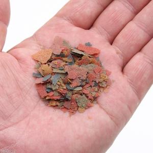 GEX パックDEフレーク 熱帯魚の主食 52...の詳細画像1