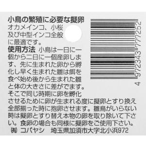 コバヤシ 中型インコ 偽卵 K-25 3個入り...の詳細画像1