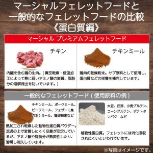 マーシャル プレミアムフェレットダイエット 6...の詳細画像5