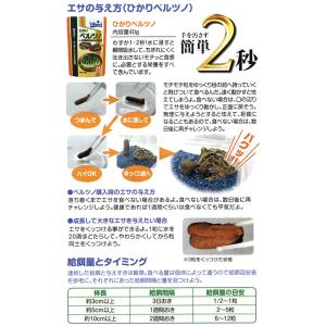 キョーリン ひかりベルツノ 40g×3 カエル...の詳細画像4