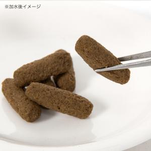 キョーリン ひかりベルツノ 40g×6 カエル...の詳細画像3