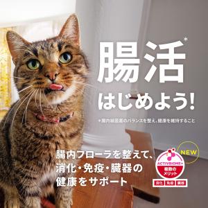 キャットフード サイエンスダイエット アダルト...の詳細画像3