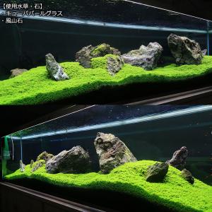 形状お任せ 風山石 サイズミックス 3kg 国...の詳細画像3