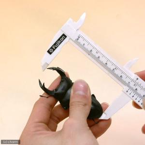 フジコン 昆虫ノギス S サイズ計測用の詳細画像1