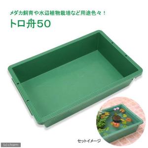 トロ舟40（幅61×奥行46．8×高さ18．5cm） お一人様1点