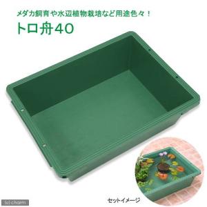 トロ舟30（幅66．8×奥行44．2×高さ14．6cm） : チャーム