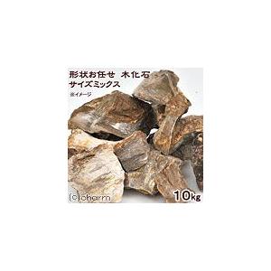形状お任せ　木化石　サイズミックス　１０ｋｇ　６０ｃｍ水槽向け　アクアリウム　レイアウト素材