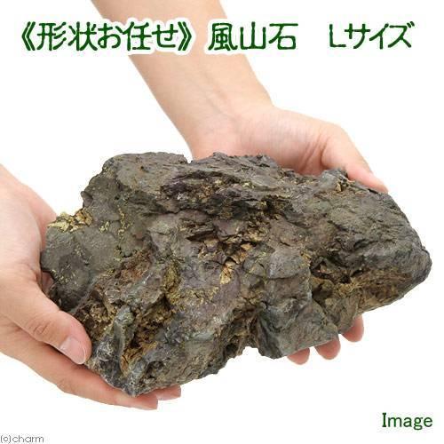 形状お任せ　風山石　Ｌサイズ（約２０〜２５ｃｍ）　１個　アクアリウム　テラリウム　レイアウト素材　お...