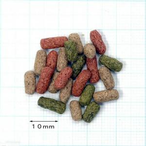キョーリン ひかりクレスト タートル 52g ...の詳細画像1