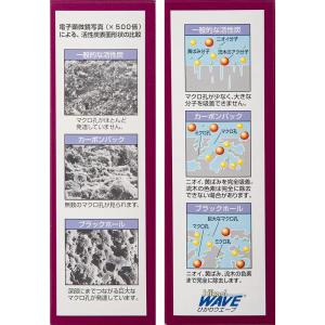 キョーリン 高性能活性炭 ひかりウェーブ ブラ...の詳細画像2