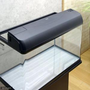 ＧＥＸ　６０Ｈｚ　クリアライト　ＣＬ６３２　６０ｃｍ水槽用　６０Ｈｚ（西日本用）　６０ｃｍ水槽用照明　熱帯魚　水草　関東当日便