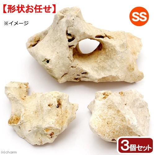 形状お任せ　化石サンゴ　ＳＳサイズ（約１０〜１５ｃｍ）　３個　アクアリウム　レイアウト素材　メダカ　...