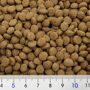 キョーリン フトアゴドライ 500g 餌 エサ...の詳細画像1