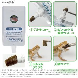 キョーリン フトアゴゲル 60g フトアゴヒゲ...の詳細画像1
