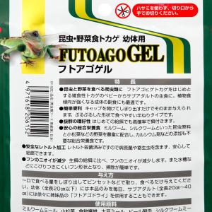 キョーリン フトアゴゲル 60g フトアゴヒゲ...の詳細画像2
