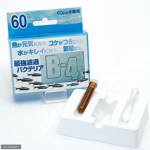 Ｂ−４　６０（バクテリア剤）　１ｇ　バクテリア　熱帯魚　観賞魚