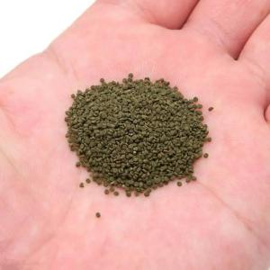 キョーリン ひかり エビ 20g エサ えさ ...の詳細画像1