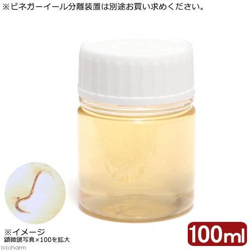 （生餌）ビネガーイール　１００ｍｌ（１個）　活餌